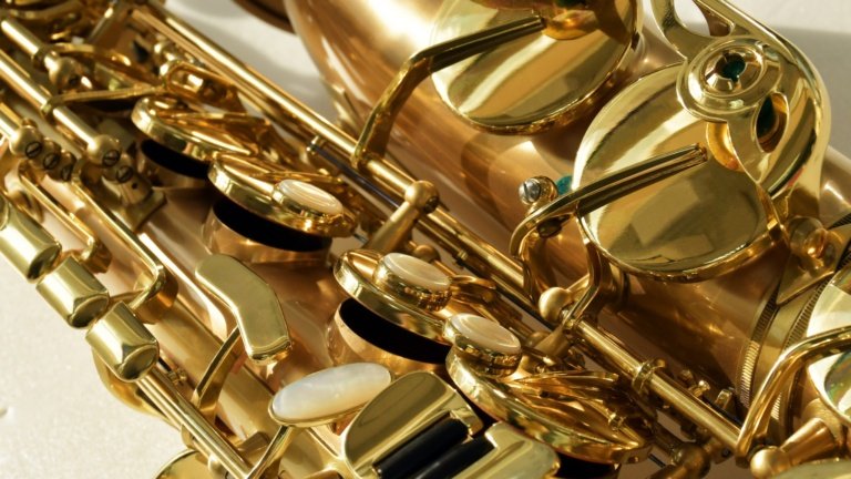 Close-up_Le bravo_Alto_m_008